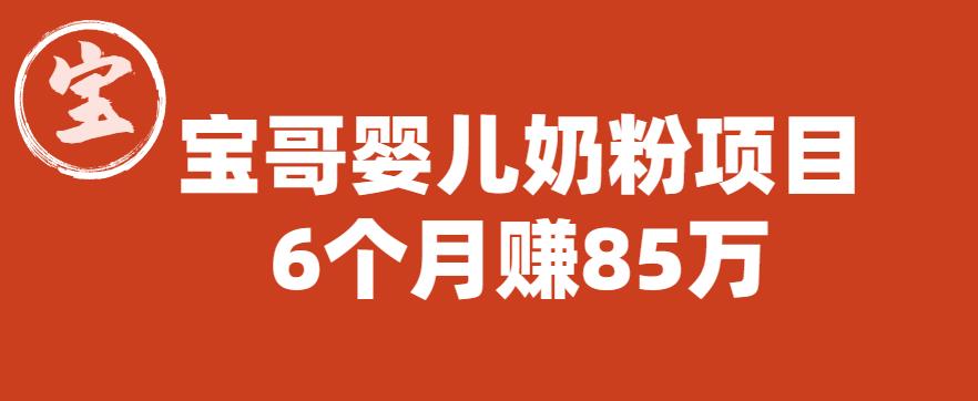 宝哥婴儿奶粉项目，6个月赚85w【图文非视频】【揭秘】-夜之北揭秘-每天学习网络推广知识