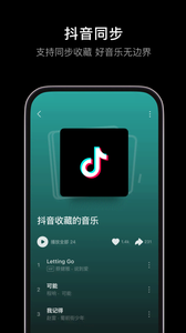 汽水音乐app车机版截图2