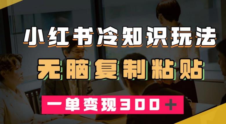 小红书冷知识玩法，无脑复制粘贴，一单变现300＋