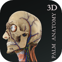 掌上3D解剖